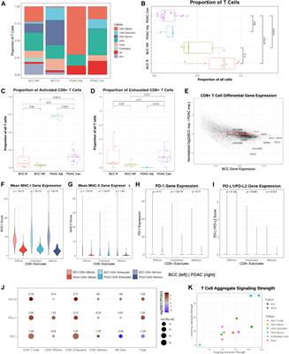 Machine Learning of Single Cell Transcriptomic Data From anti-PD-1 Responders and Non-responders Reveals Distinct Resistance Mechanisms in Skin Cancers and PDAC